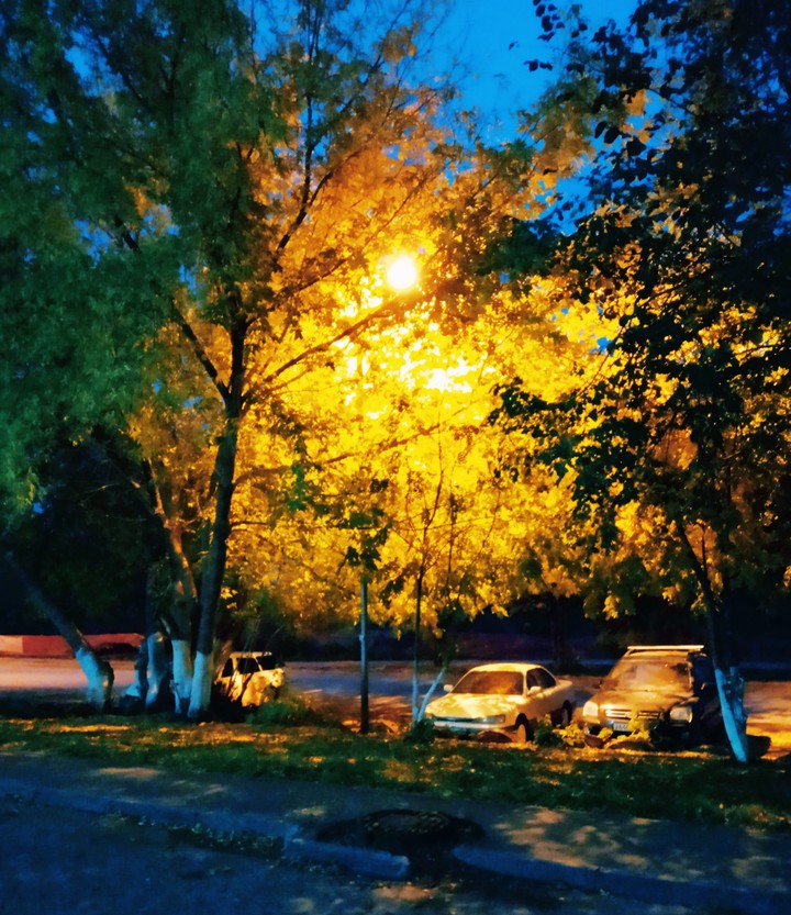 Novosibirsk