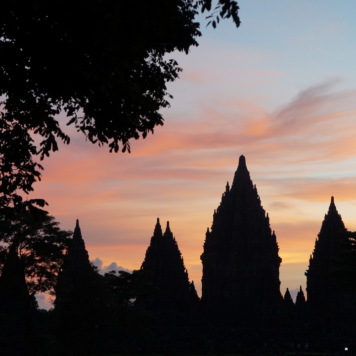 Temples and trees