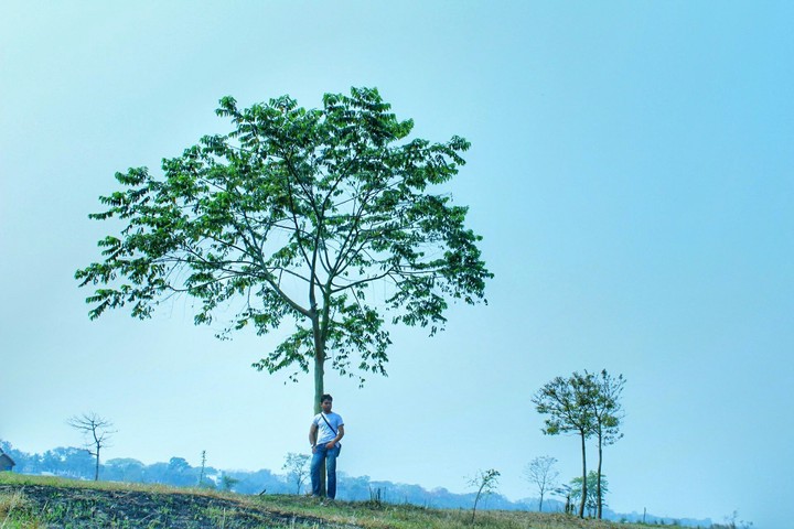 Solitude