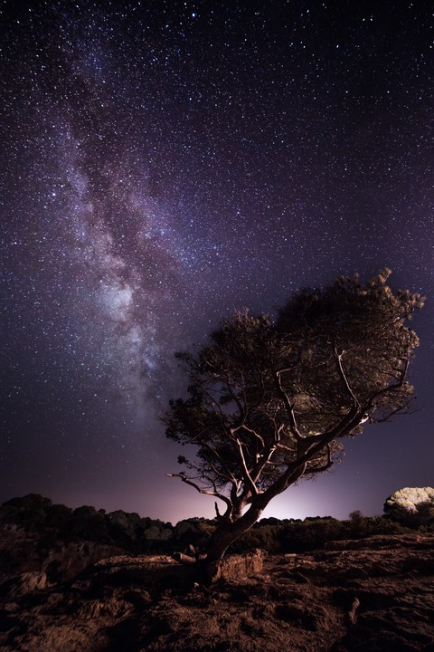 Milky Way