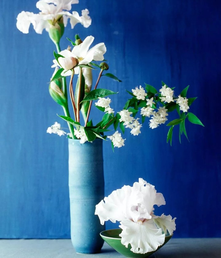 flower vas