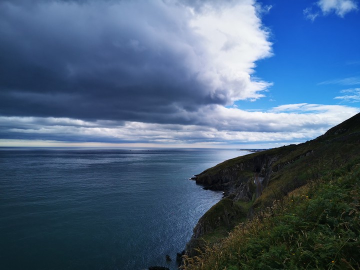 Bray