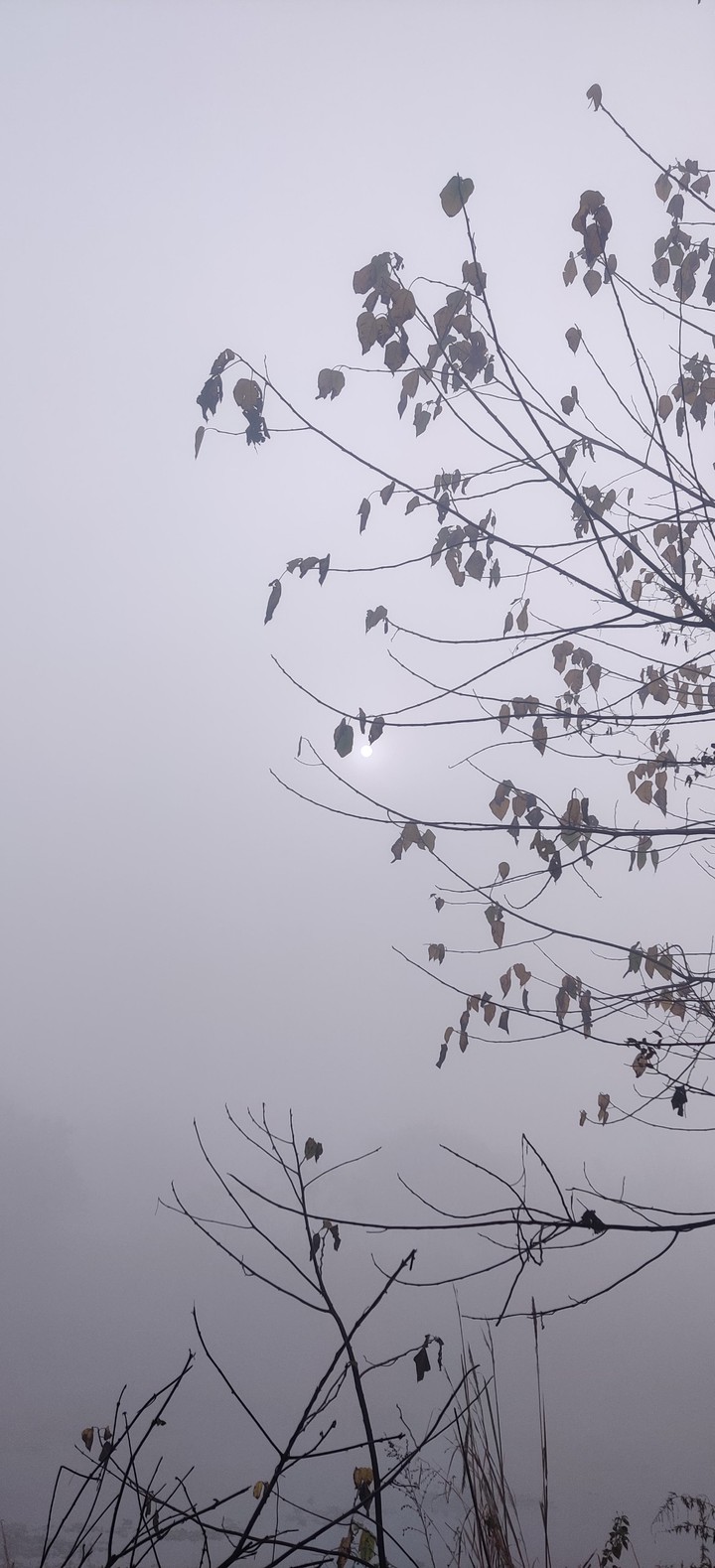 winter