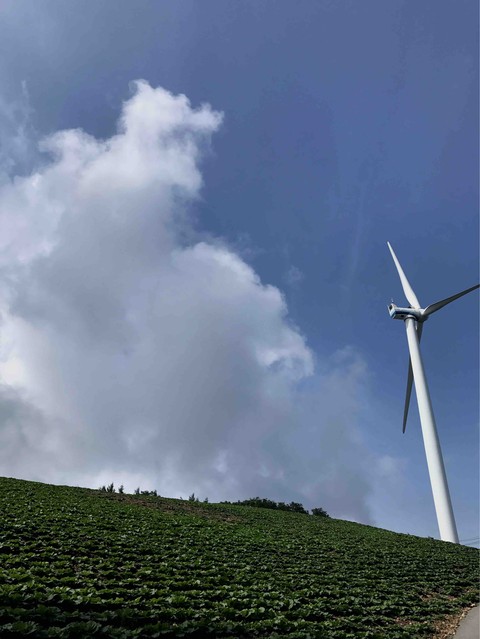 wind power