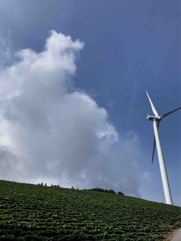 wind power
