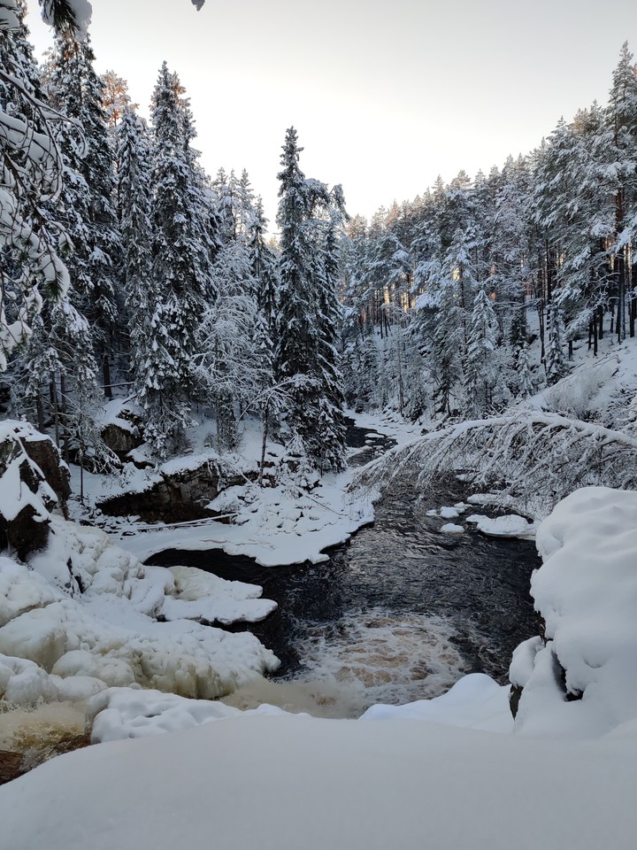 Winter