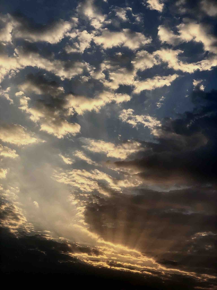 Shades of the Sun