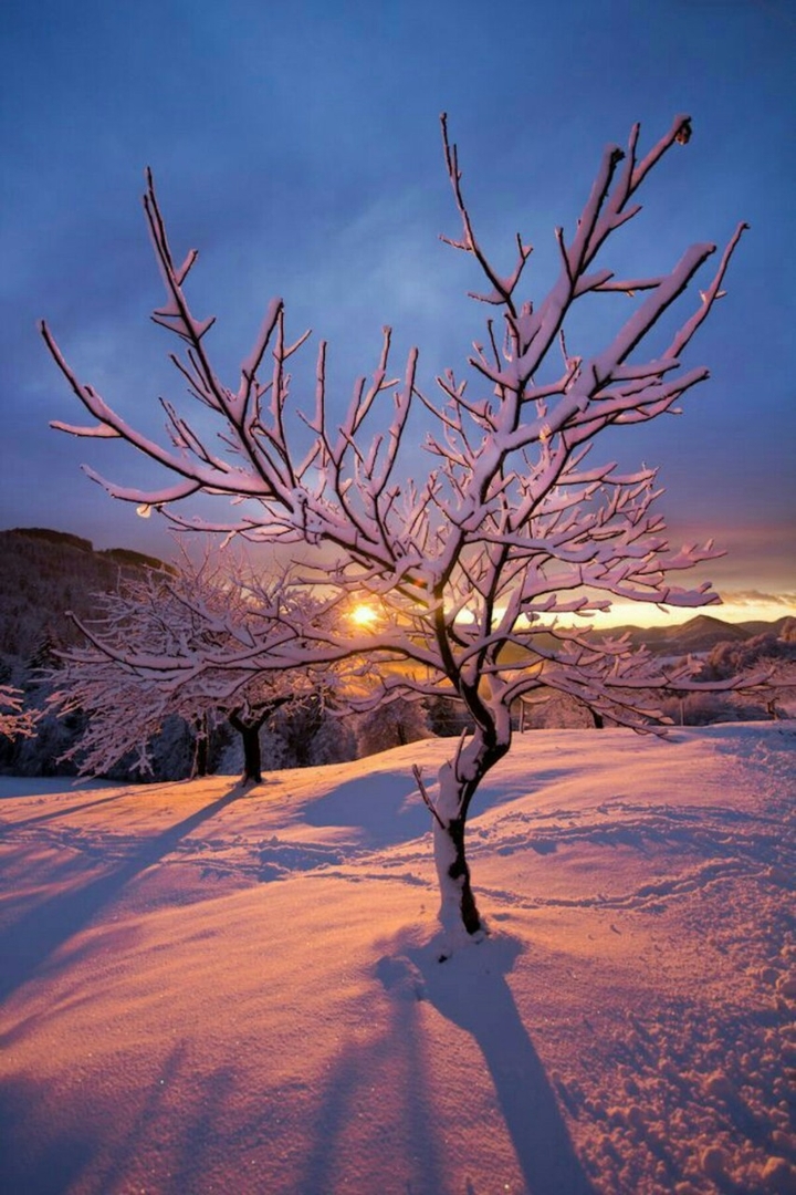 Winters