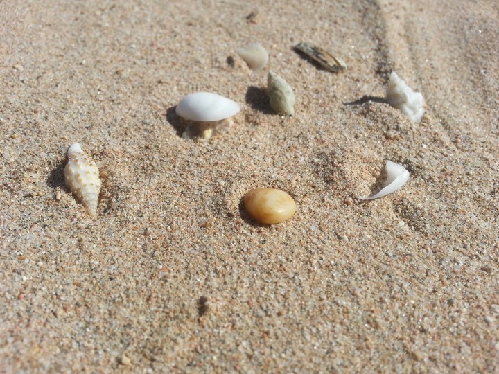 Beach Egypt