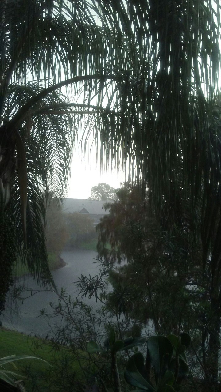 rainy day in Florida
