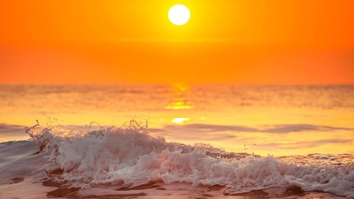 Sea