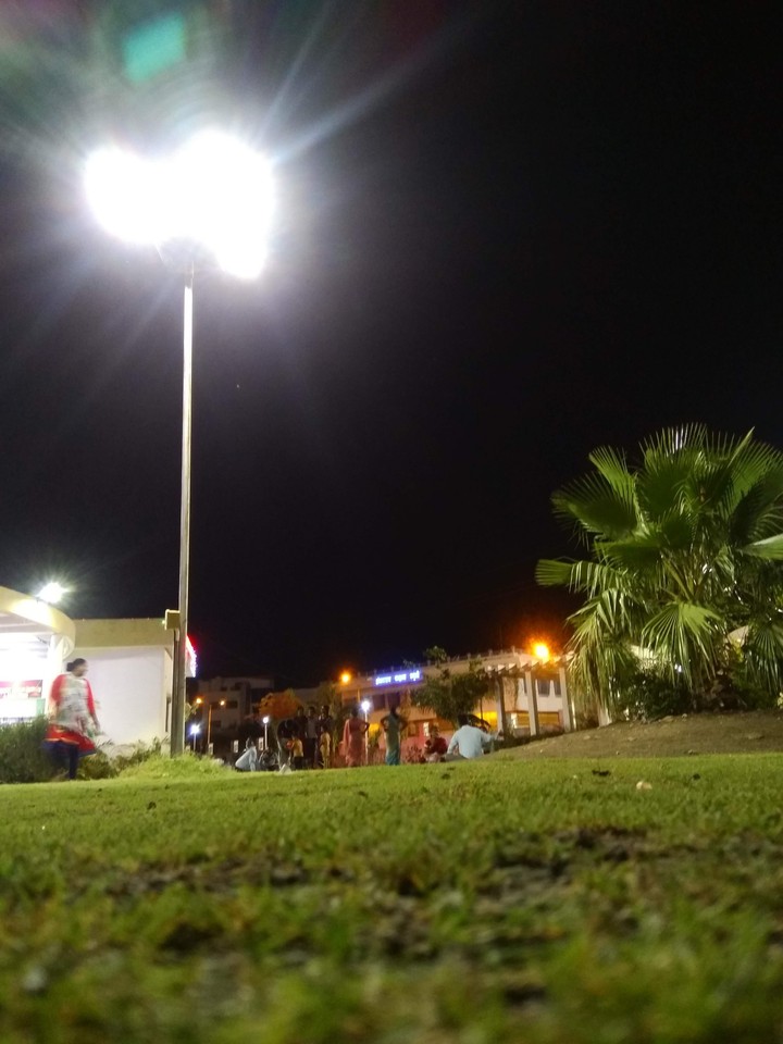 #lights#greenari#tree