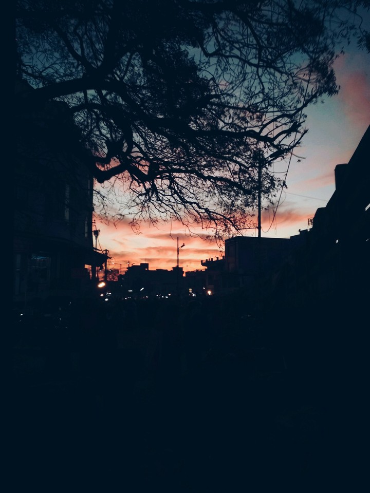light of nature.
