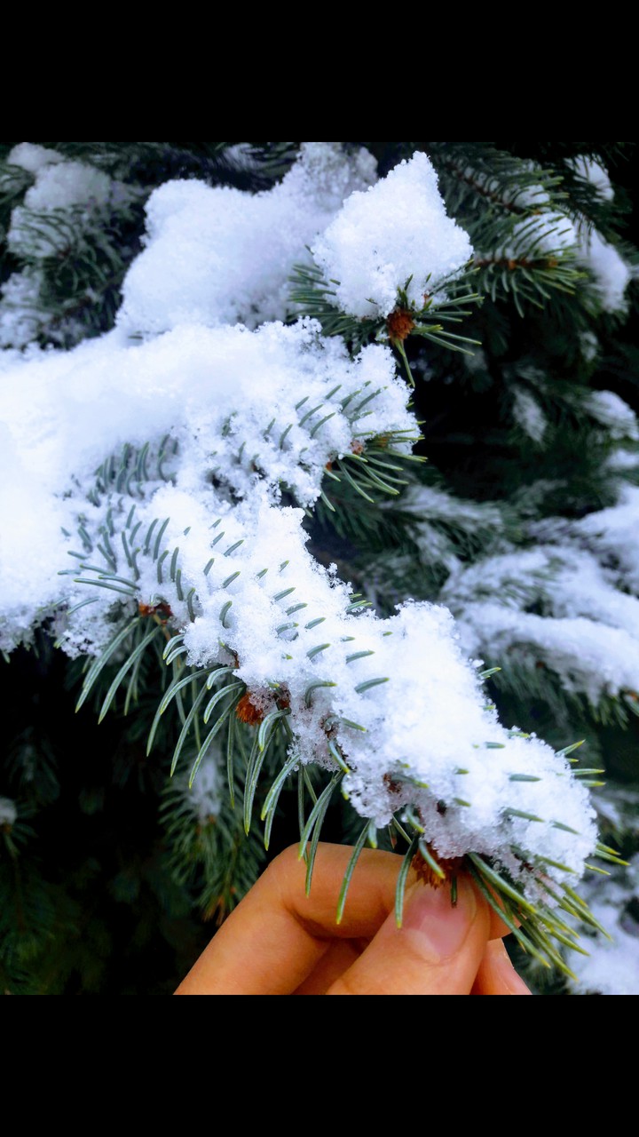 snow