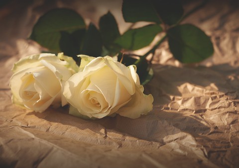 rose....