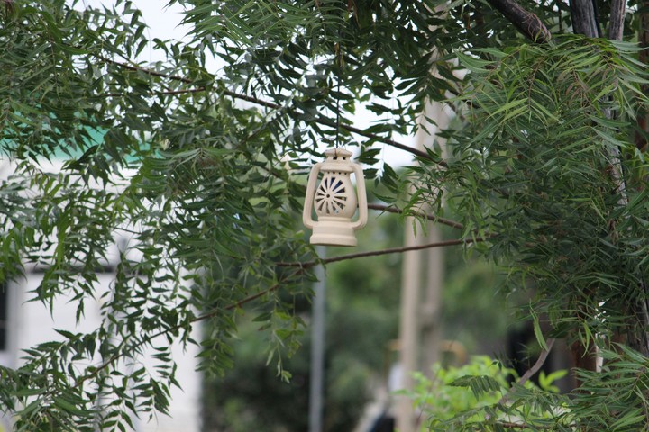 a lantern.