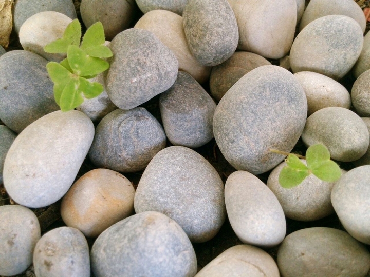 little rocks