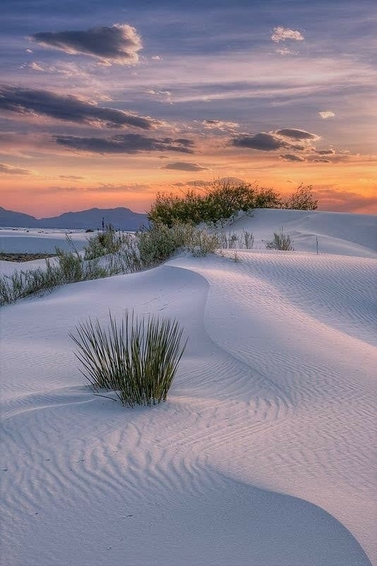 Dunes