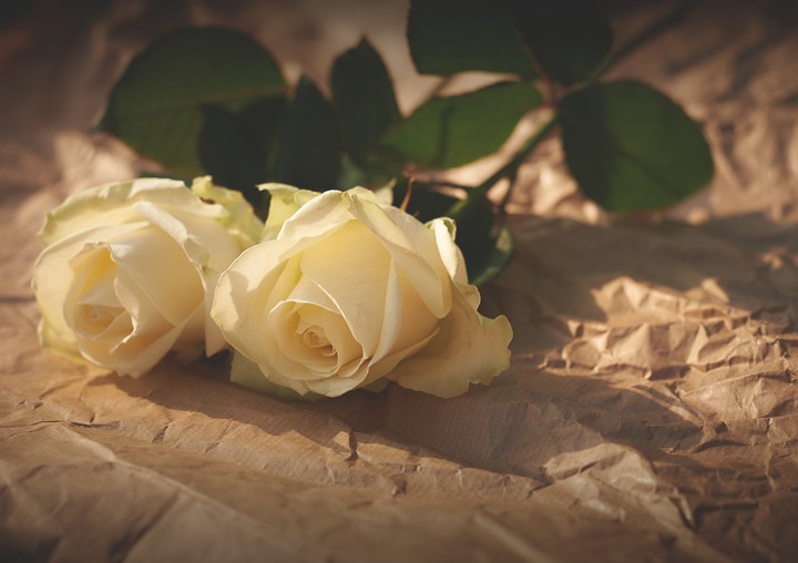 rose....