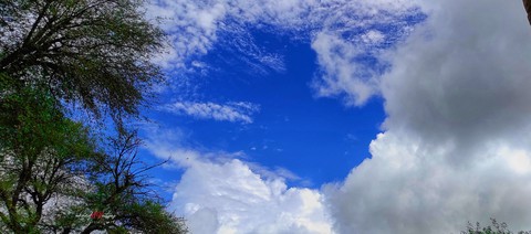 Nature shot