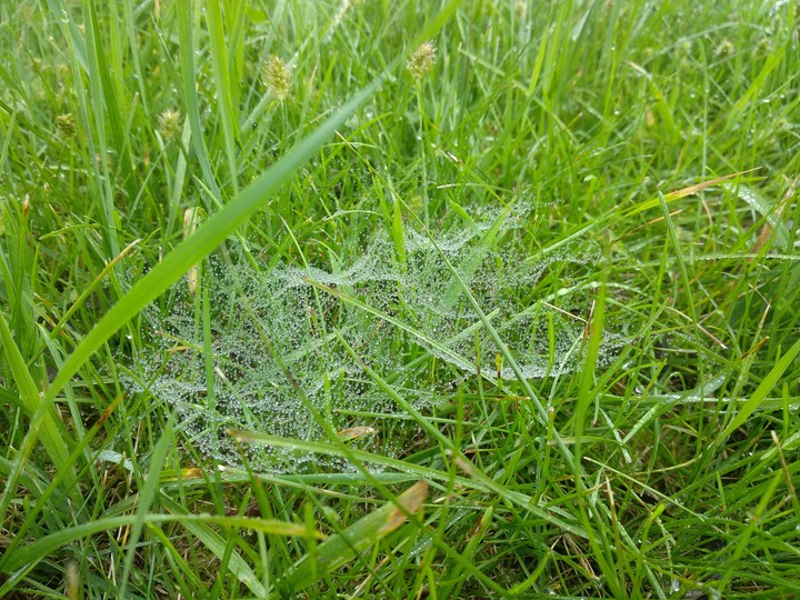 ..