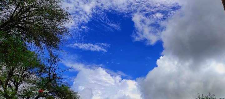 Nature shot