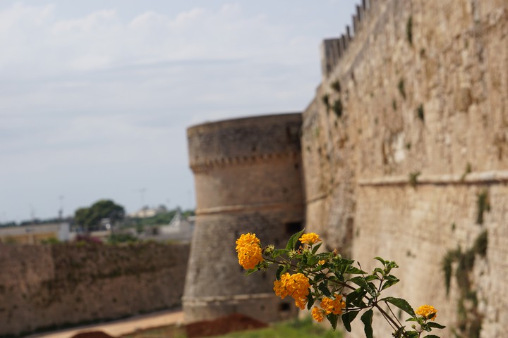 otranto
