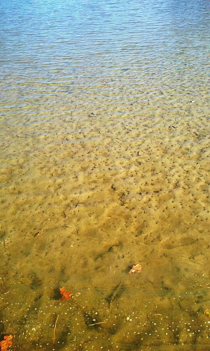 Beautiful Beach Scene