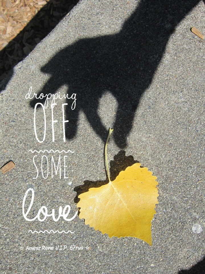 love