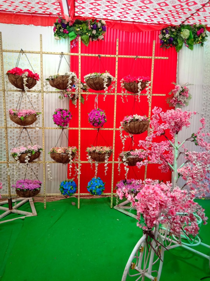 beauty of flowers