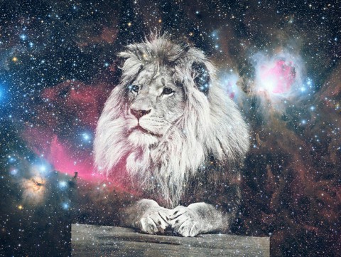 Hipster galaxy