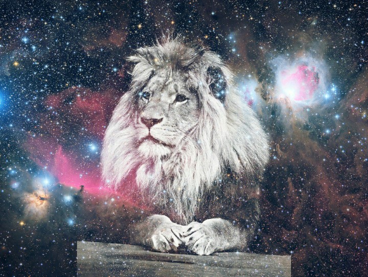 Hipster galaxy