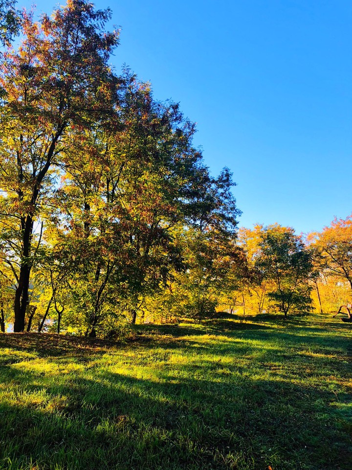 autumn
