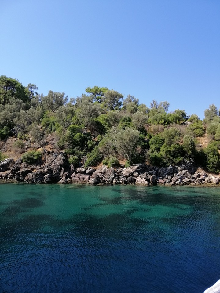 море