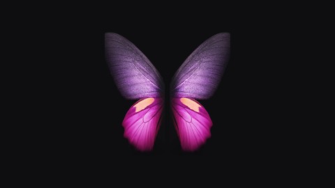 Fold Pink Butterfly Stock 4K