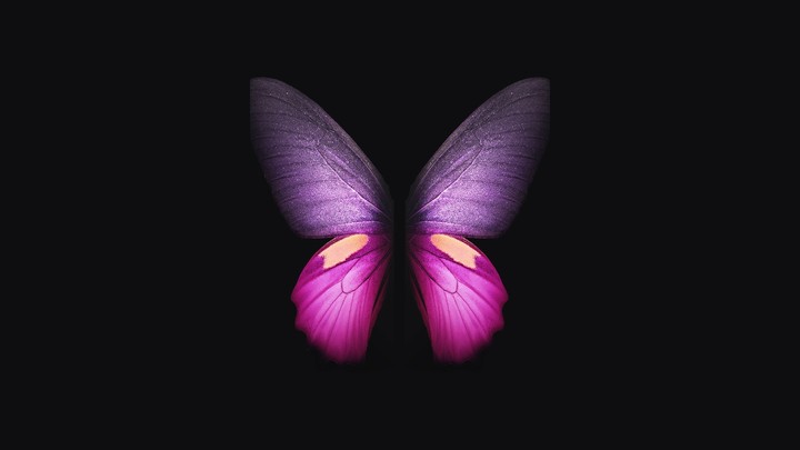 Fold Pink Butterfly Stock 4K