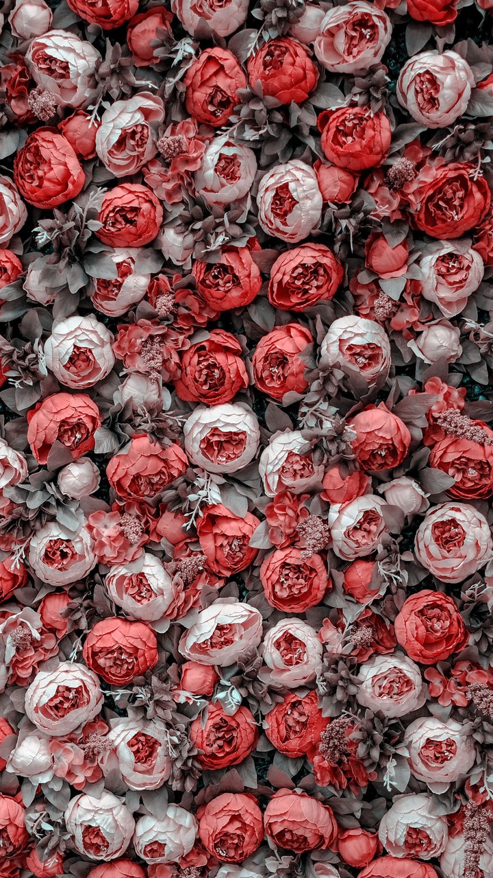 FLOWER WORLD