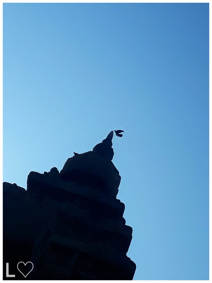 SHORE Temple