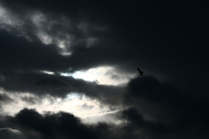 Dark Sky with Eagle