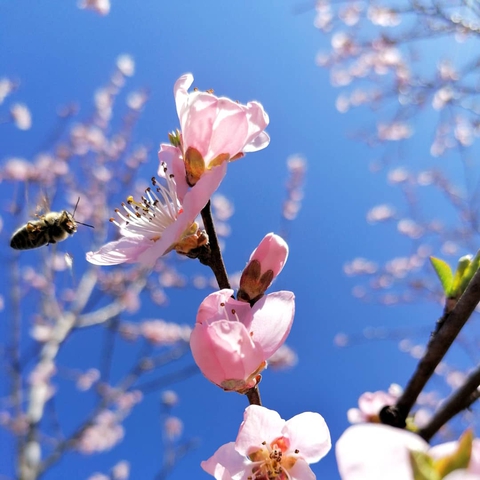 beautiful nature
