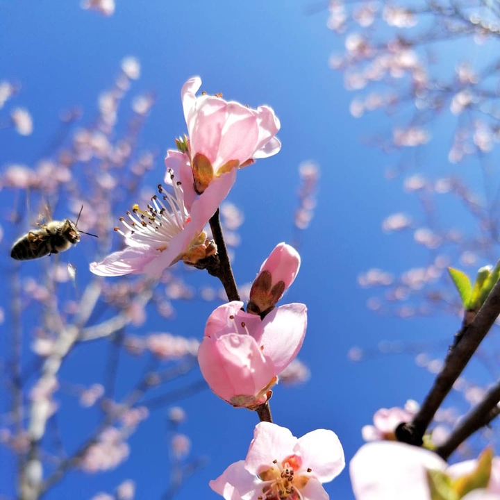 beautiful nature