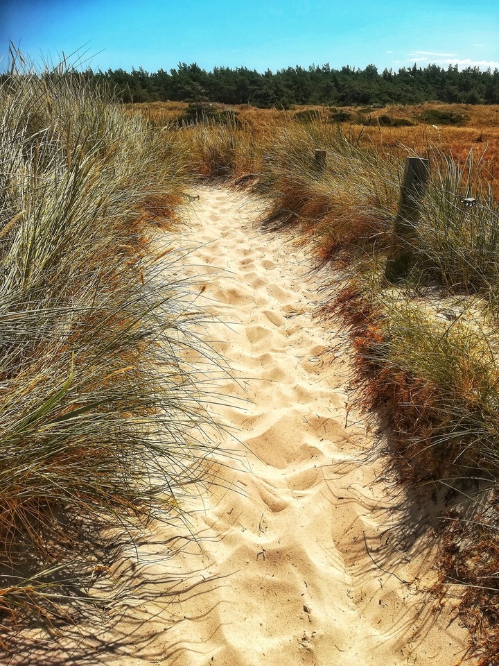 sand