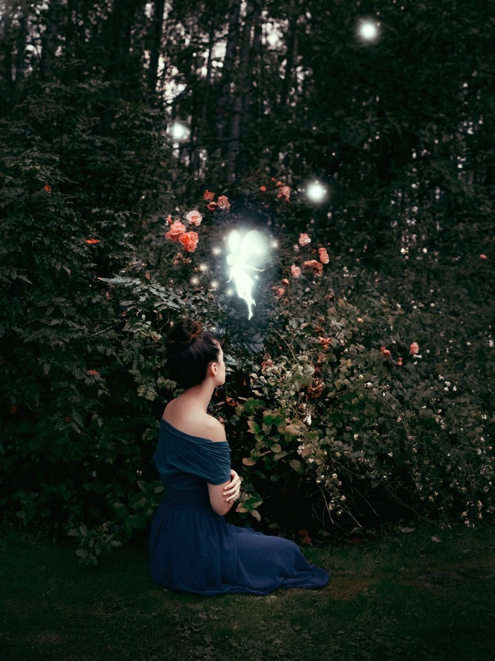 Fairy