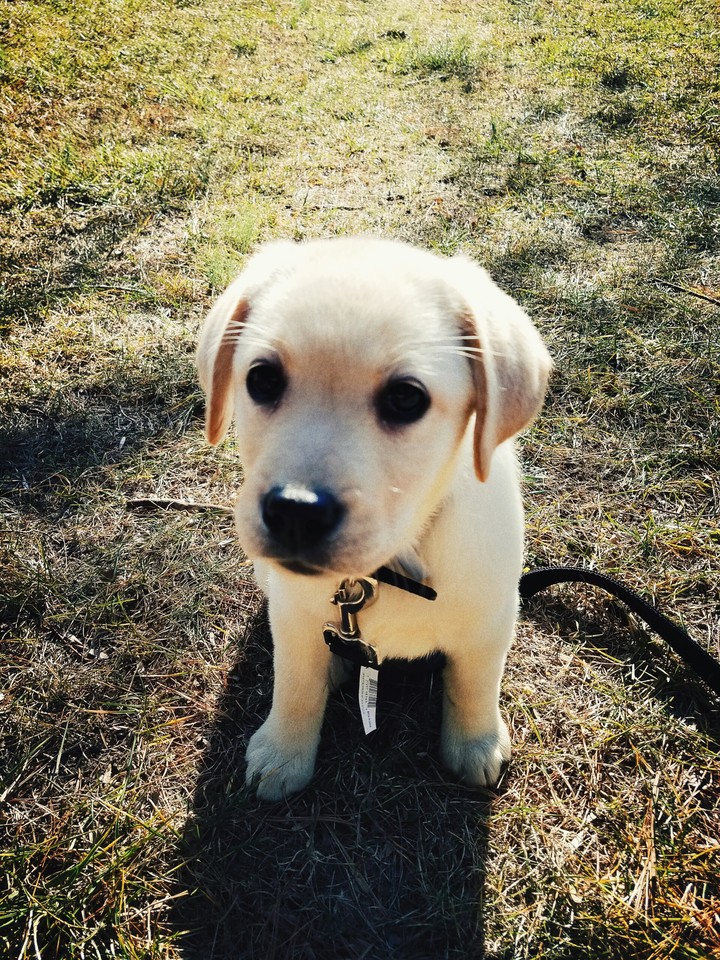 <3