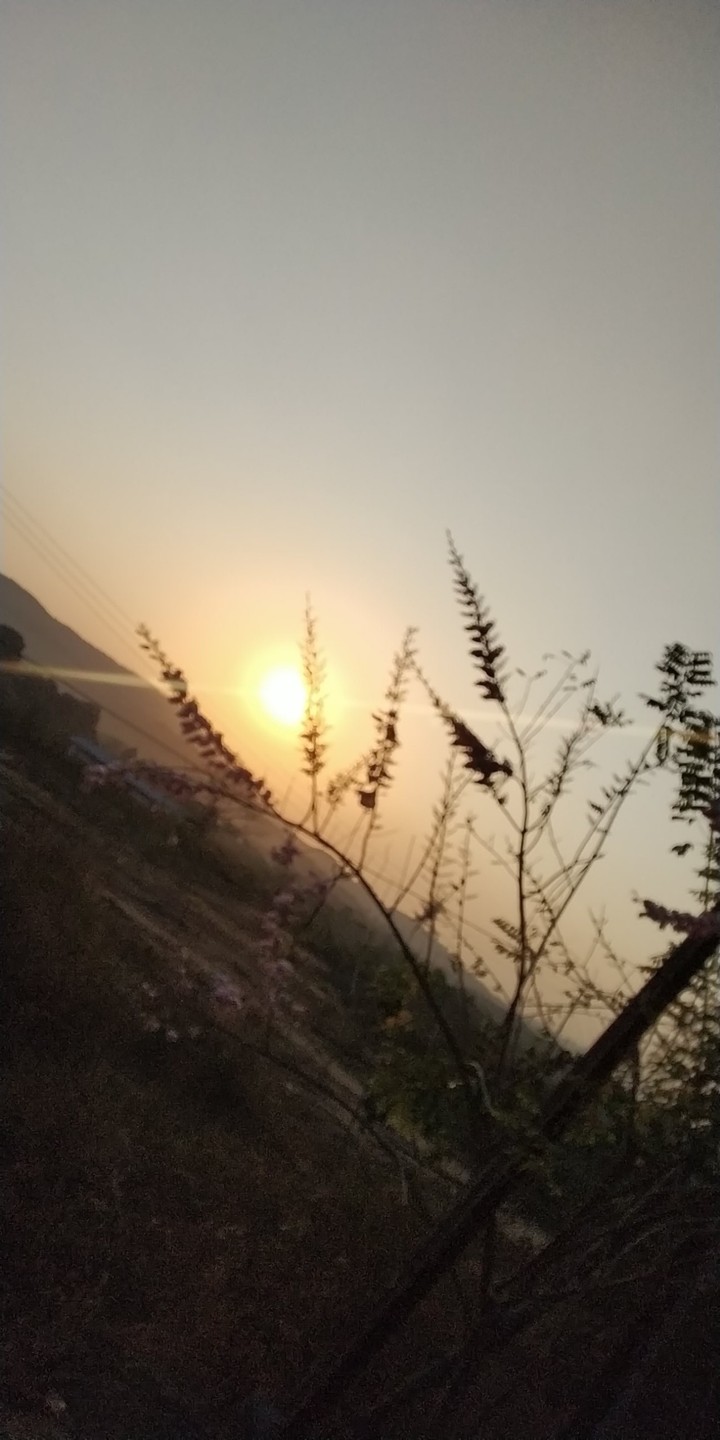 sunset