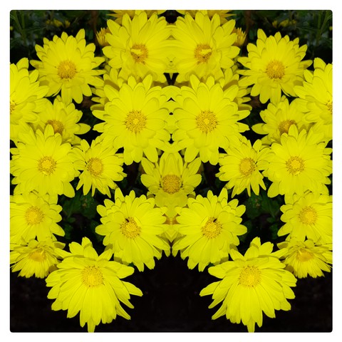 уellow