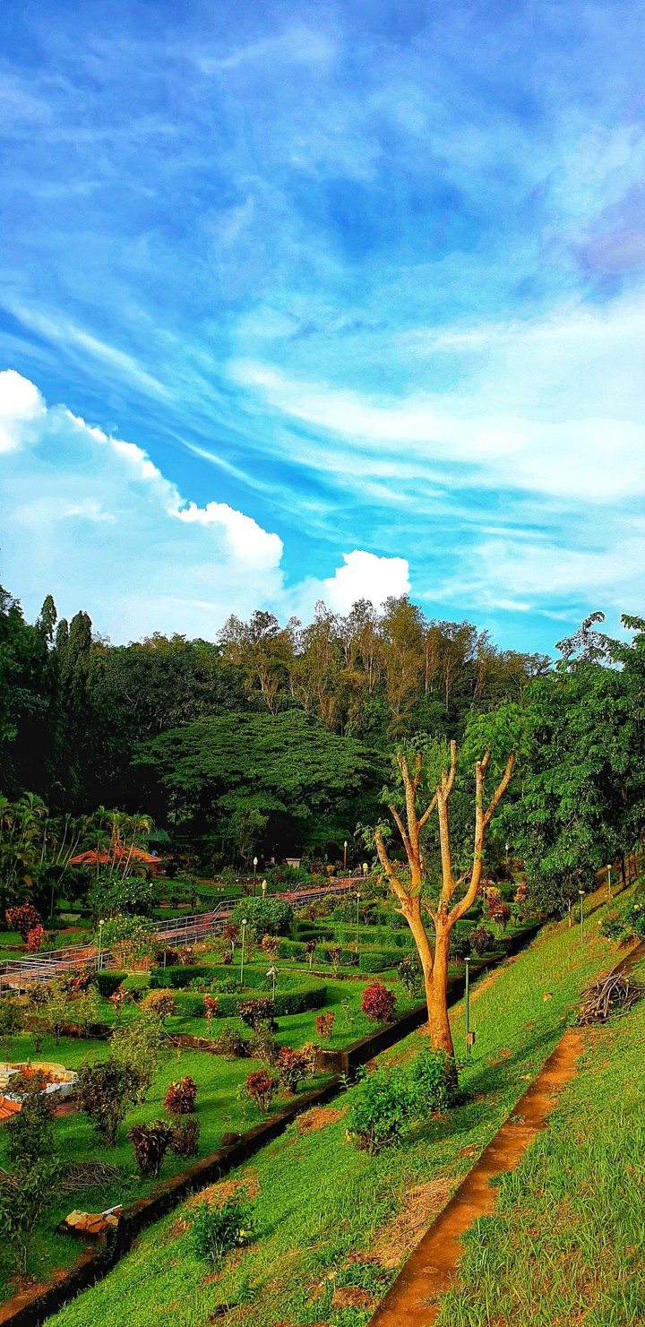nature