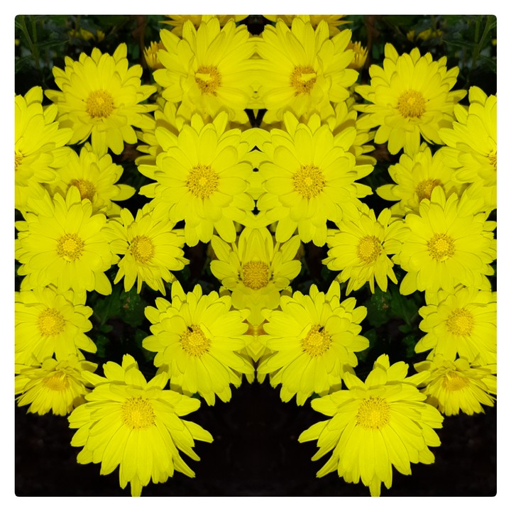 уellow