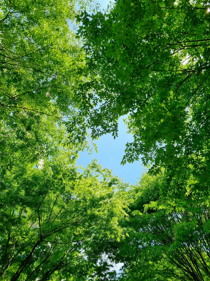 a sunny day