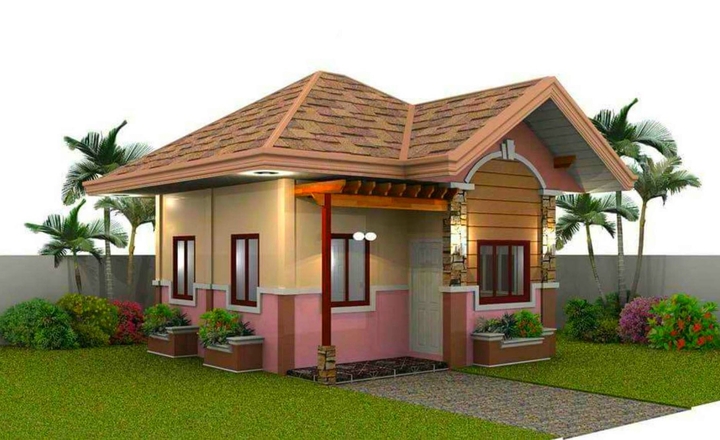 mini house 